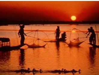 2020年世界渔业和水产养殖状况最新发布