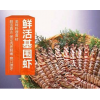 基围虾鲜活